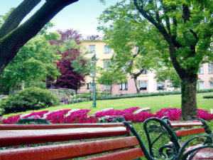 Erkunden Sie die prachtvollen Parks und Gärten, die Wiesbaden seinen einzigartigen Charme verleihen